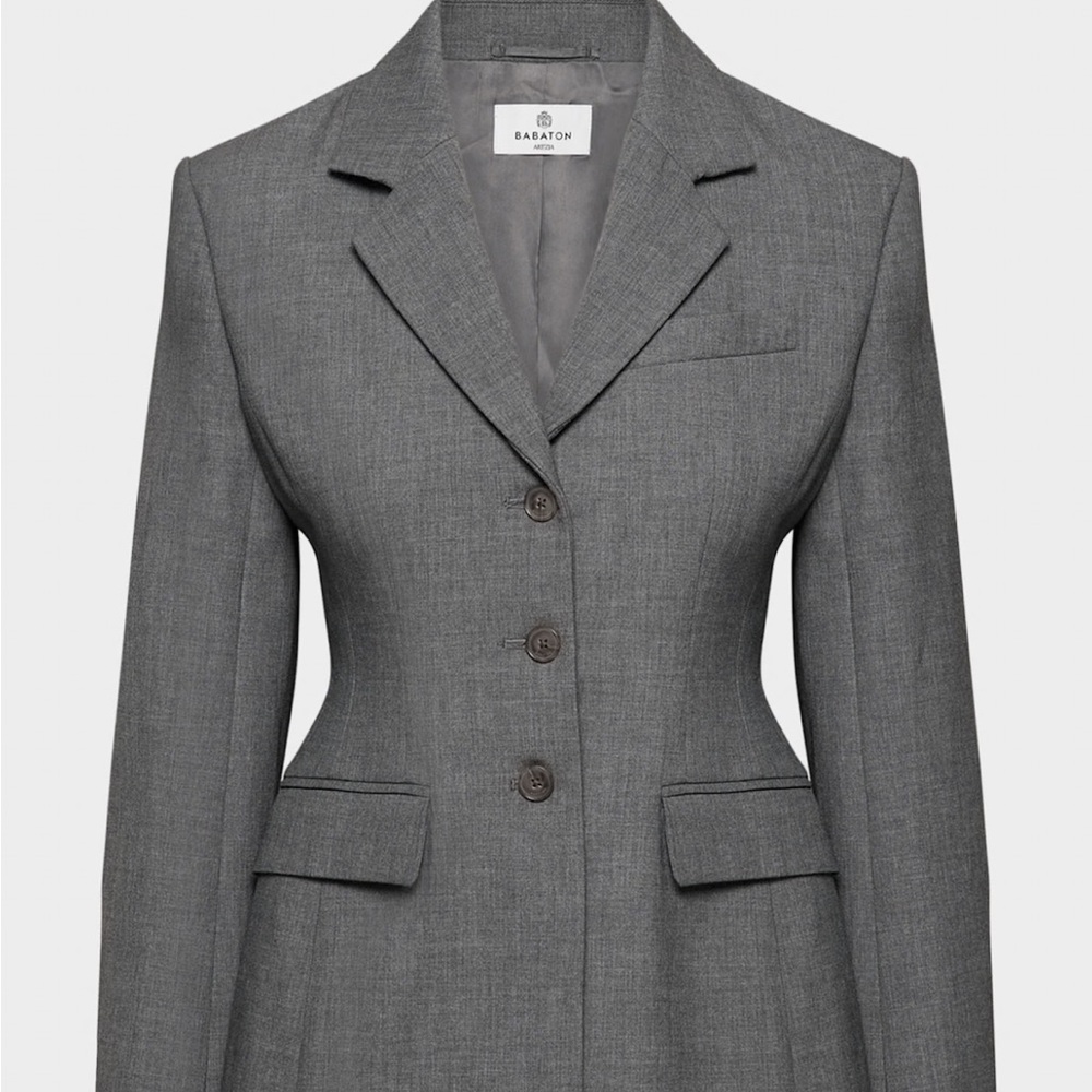 Aritzia Babaton Standout Blazer